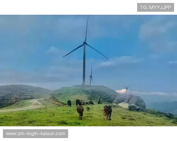 海地体育基础设施逐步改善：打造未来运动强国