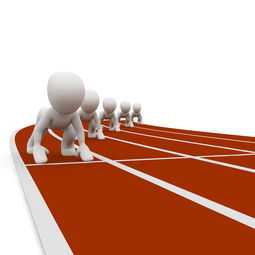 开yun官网-中国篮球职业联赛赛事组织与风险管理研究,中国篮球协会竞赛管理办法