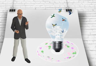 开云体育app在线-中国篮球职业联赛赛事运营管理与风险控制研究,我国篮球职业联赛