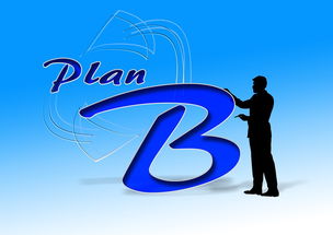 开云体育app在线-中国篮球职业联赛赛事运营管理与风险控制研究,我国篮球职业联赛