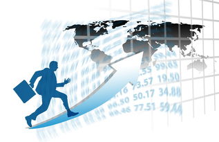 开云在线登入-中国篮球职业联赛赛事运营管理优化研究，中国篮球竞赛体系