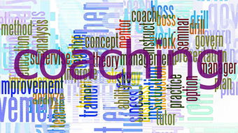 开云体育app-意甲球迷忠诚计划对比赛日收入改善的作用,意甲忠诚球员